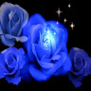 Meet your Posher, Trish